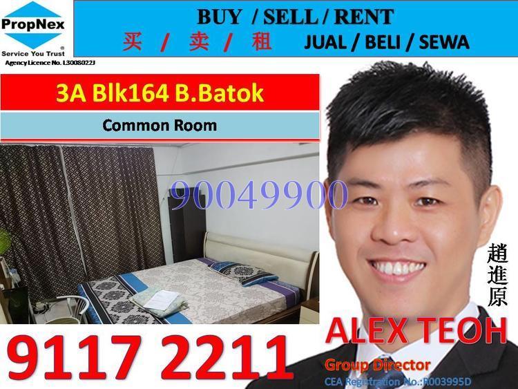 Blk 164 Bukit Batok Street 11 (Bukit Batok), HDB 3 Rooms #139317342